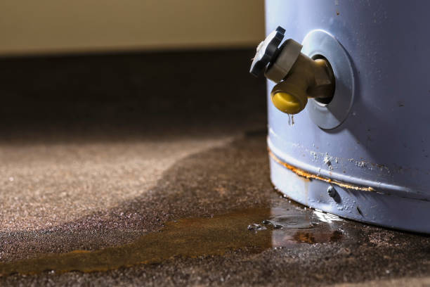 Best Water damage mitigation services  in Queen Creek, AZ