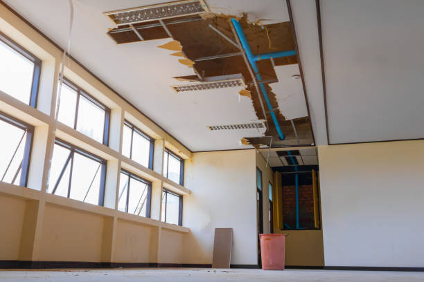 Best Flood restoration services  in Queen Creek, AZ