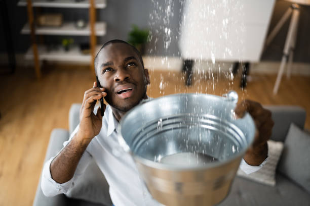 Best Water damage restoration near me  in Queen Creek, AZ