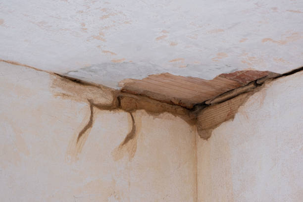 Best Water damage repair service  in Queen Creek, AZ