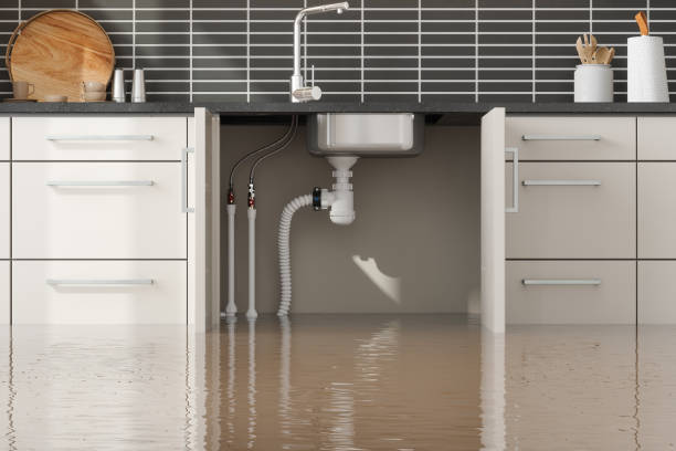 Best Emergency water damage restoration  in Queen Creek, AZ